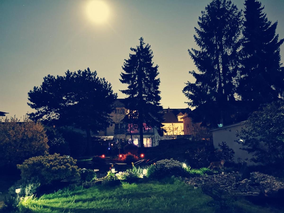 Home Inn Hotel Dormagen Buitenkant foto